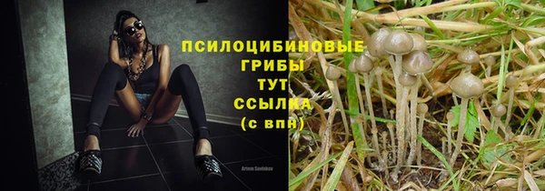ECSTASY Абдулино