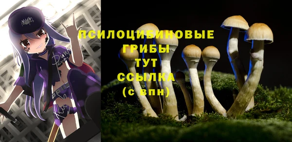 крисы Абинск
